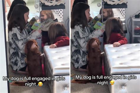 dg porn|Woman Films Dog Joining Her Little Sisters' Night In  .